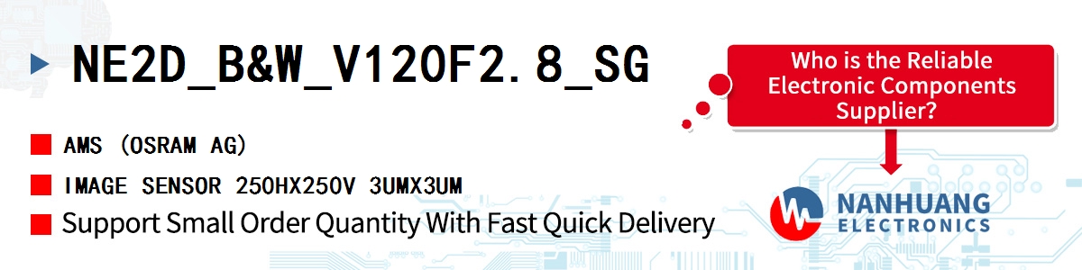 NE2D_B&W_V120F2.8_SG AMS IMAGE SENSOR 250HX250V 3UMX3UM